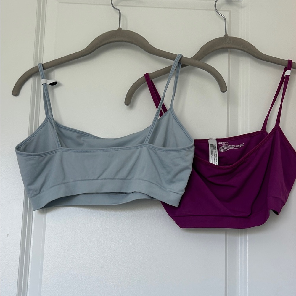 Stylish Gray and Purple Women's Bras
